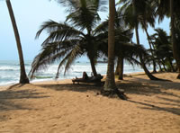 På stranden under palmer